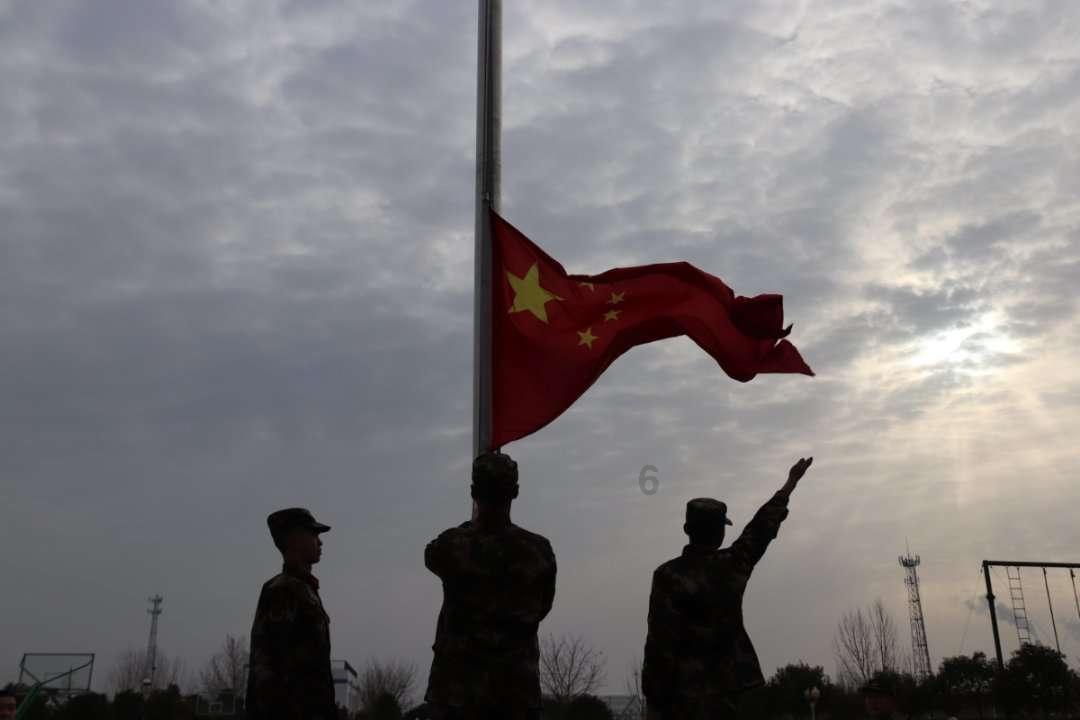 请问这是什么花- 专业问答类网站