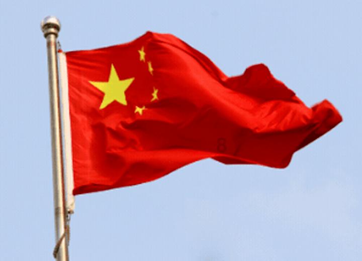 救援七星瓢虫